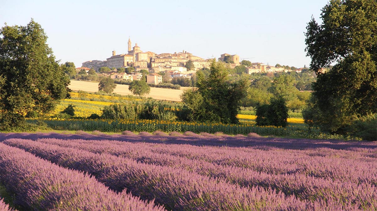 Borghi di velluto nella Val Mivola: un viaggio tra mare, colline e storia marchigiana