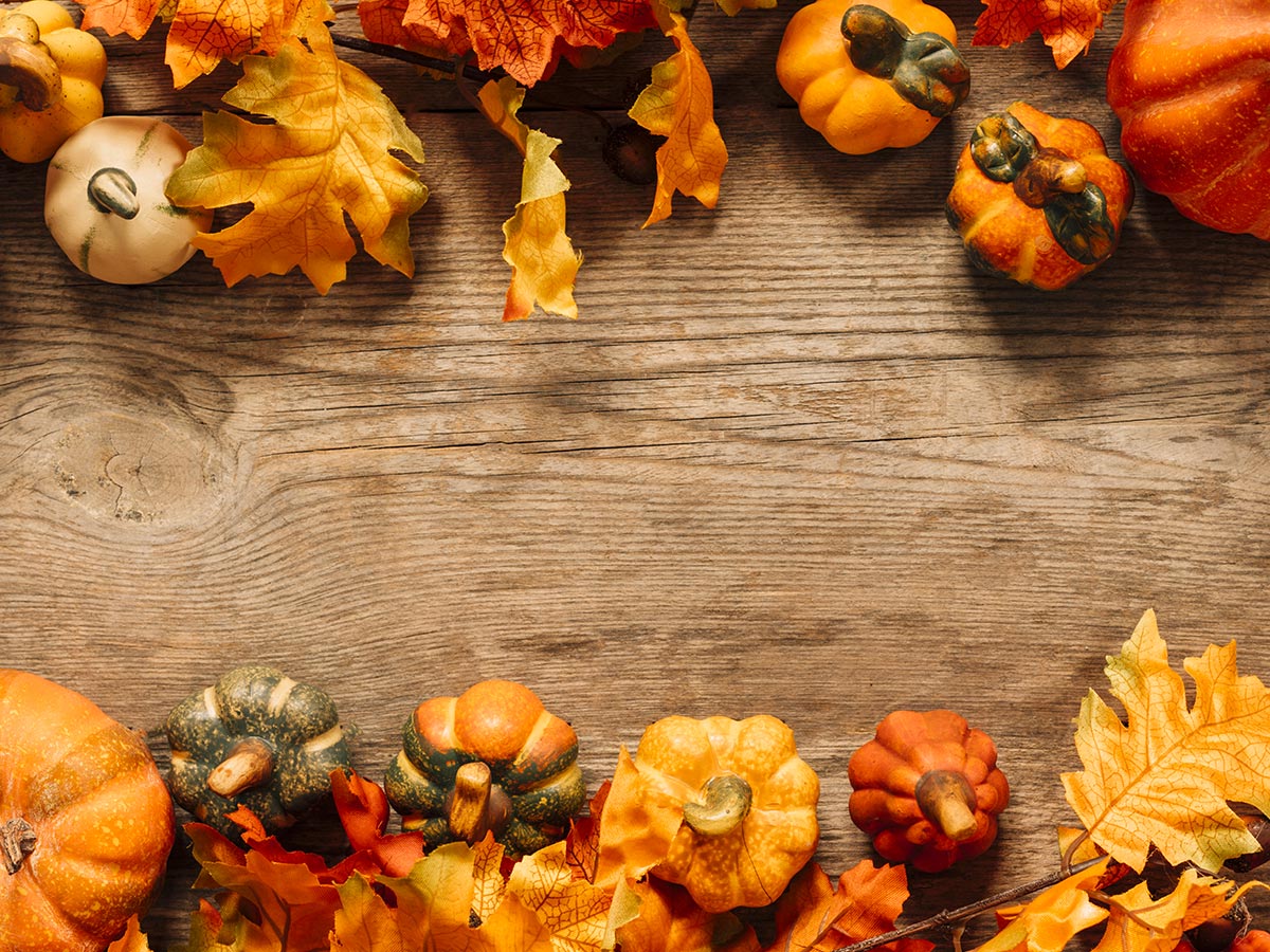 Marche in autunno, cosa vedere tra borghi, natura e sapori autentici