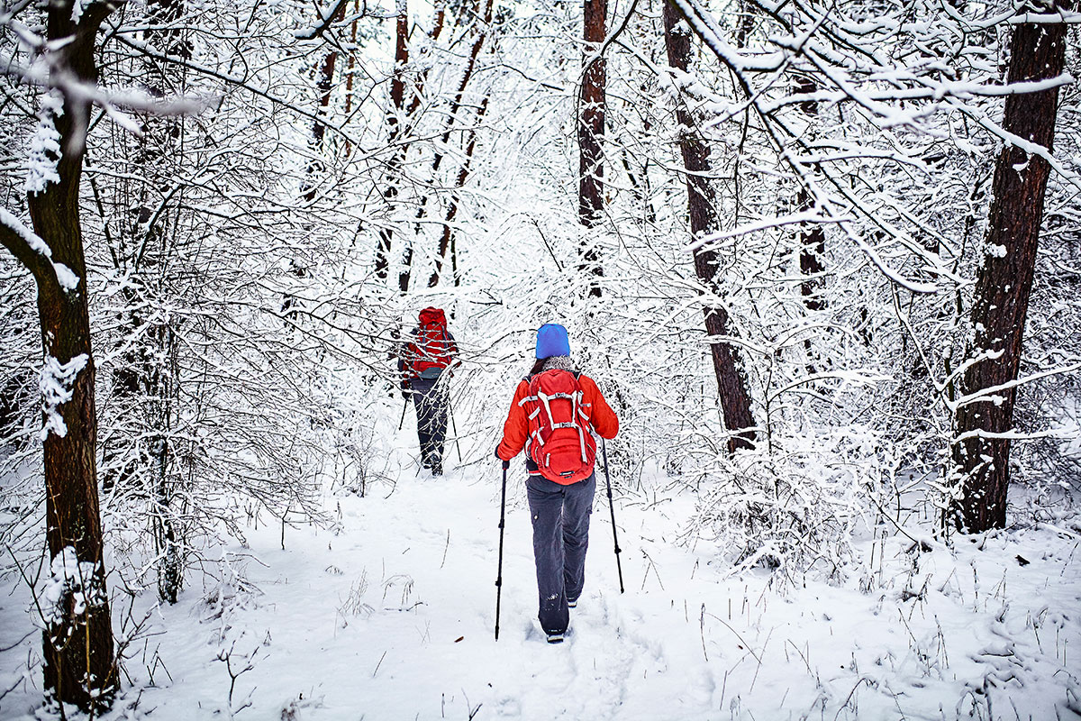 Trekking invernali nelle Marche, 5 sentieri facili da provare vicino a Fano